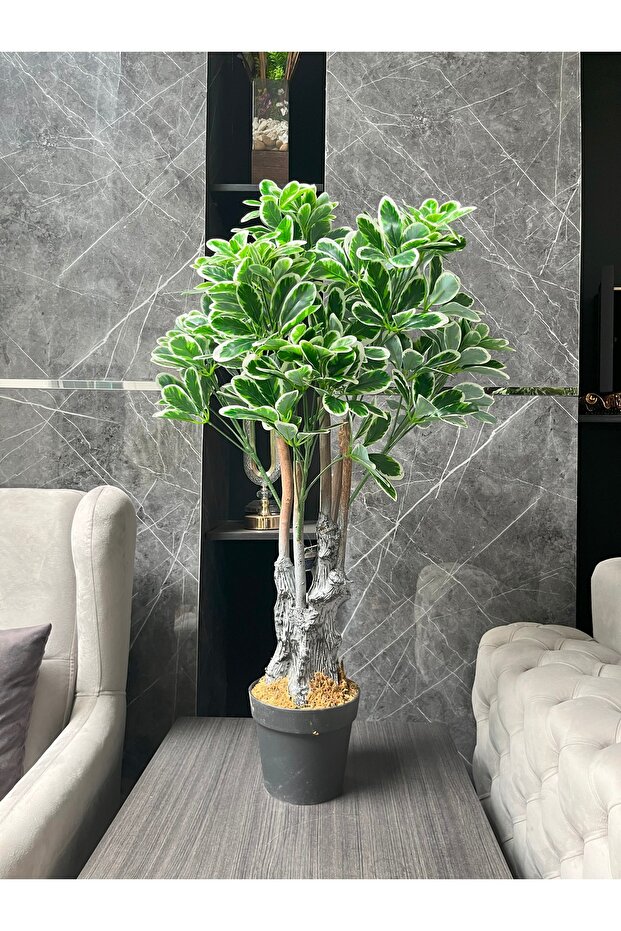 اشجار الشفليرا الصناعية-100cm - 4