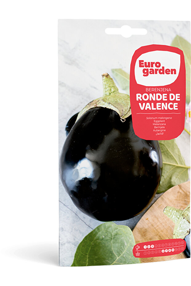 Eggplant (Berenjena Ronde de Valence) Premium Quality Seeds Made in Spain
