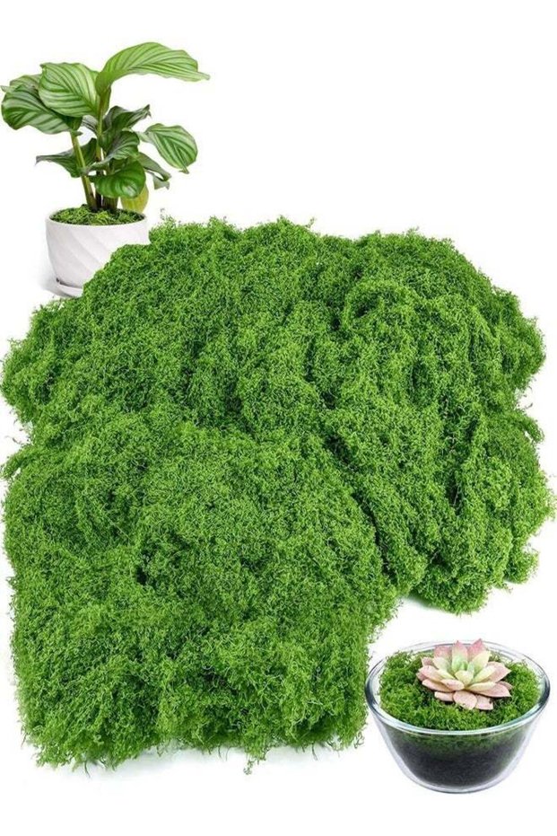 Artificial Moss for Crafts, 100g Fake Green Moss for Potted Plants, Faux Moss Decor for DIY Decorat