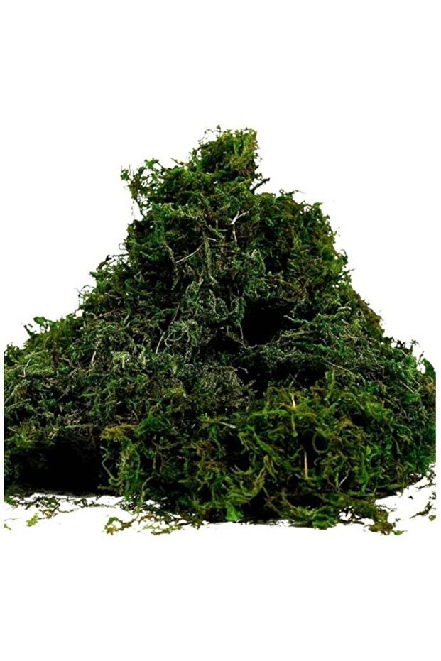 Premium Artificial Moss – Faux Green Grass for Potted Plants, DIY Crafts, Home Décor, Garden Decora