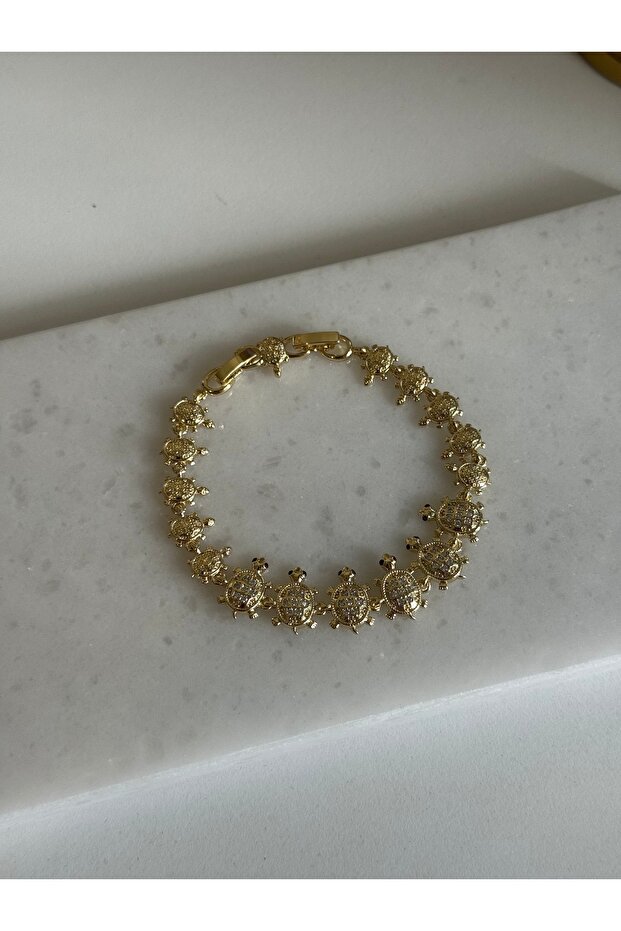 سوار السلاحف المتسلسلة من سي إم - 1