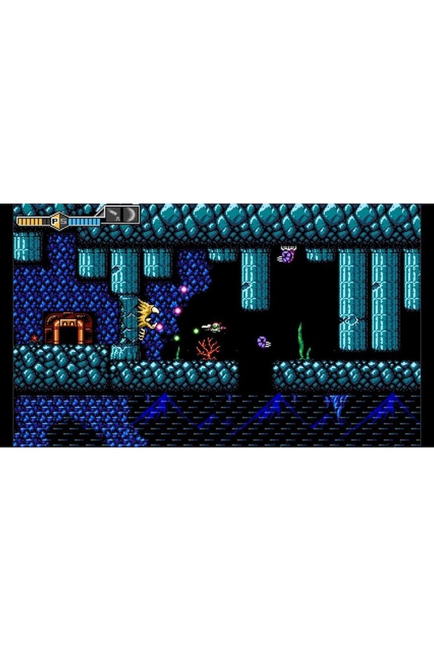 Blaster Master Zero 2 pentru NSW - 3