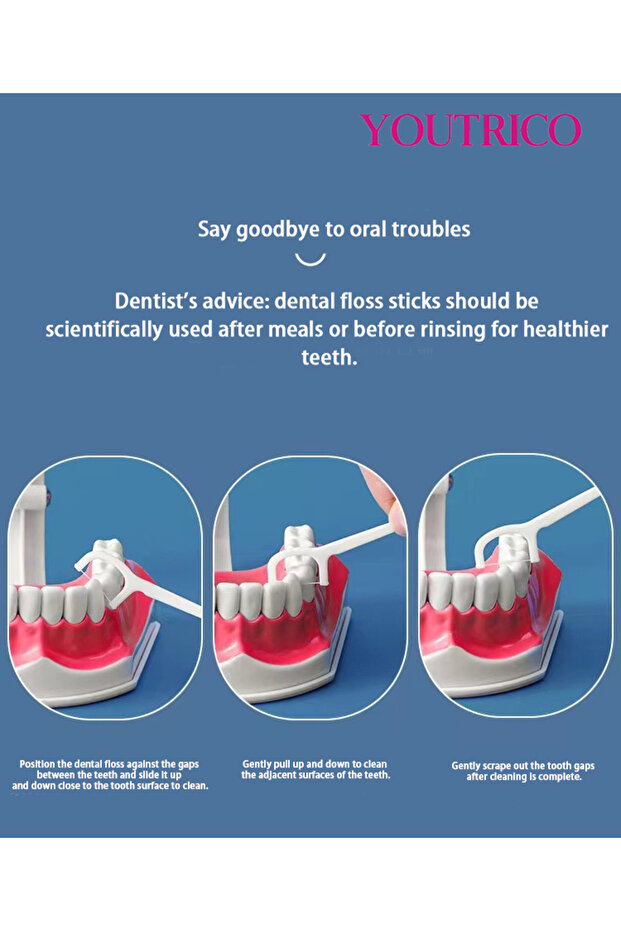 12Pcs Replacement Jet Tips for HF-2 HF-6 Model. Pack of 6.Floss 100pcs - 7