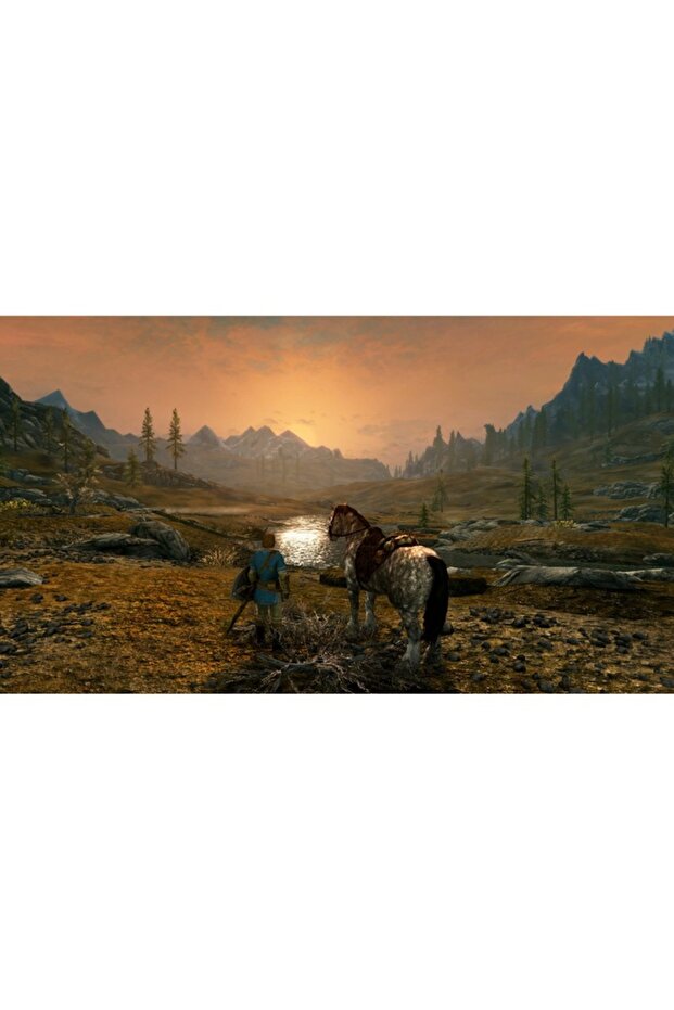 The Elder Scrolls Skyrim Switch - 3