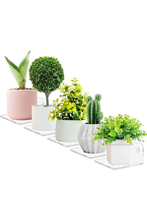 Small Adhesive Wall Shelves, 5-Ledges, Acrylic Display Shelf Flexible Use Of Wall Space