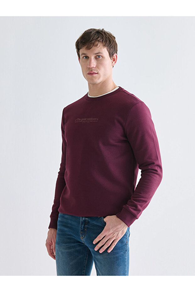 Timeless Clothing & Timeless Choices Zero Roba Collar Printed Men's Thick Sweatshirt