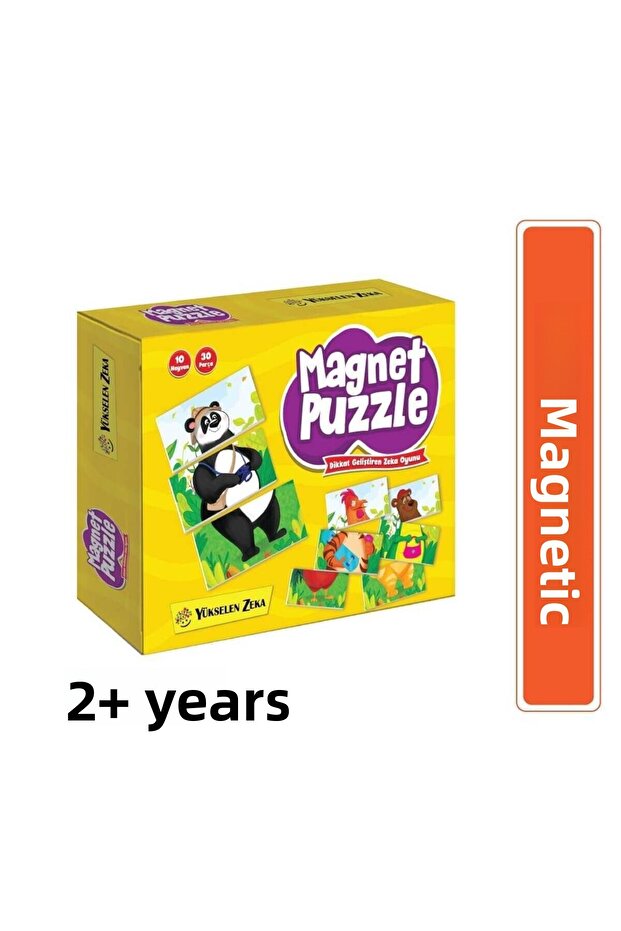 Magnet Puzzle is an intelligence game that develops attention. - 1
