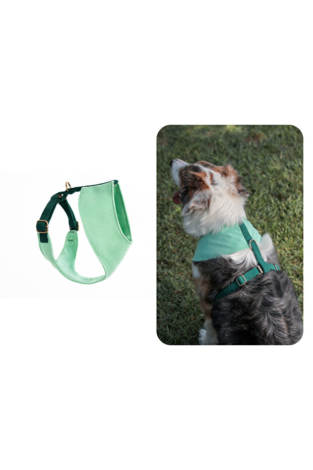 Shelby Soft Köpek Göğüs Tasması - 1
