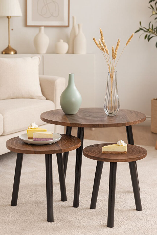 طقم طاولات قهوة جانبية - 3
