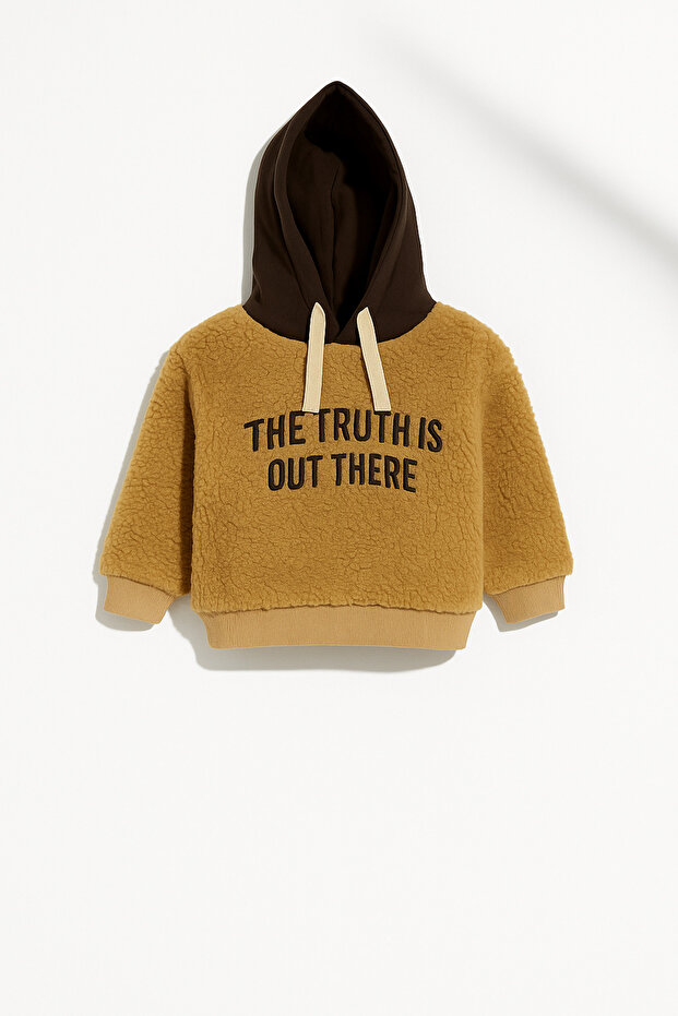 Unisex Kids Cotton Brown Teddy Sweatshirt - Hooded and Text Printed