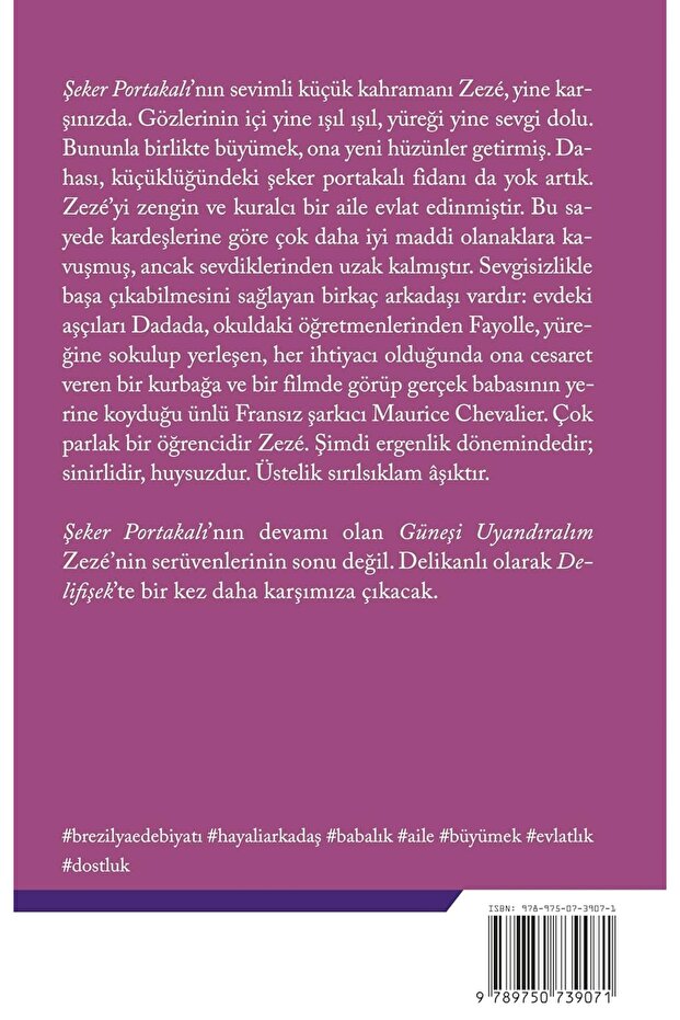 Güneşi Uyandıralım - José Mauro de Vasconcelos - 2