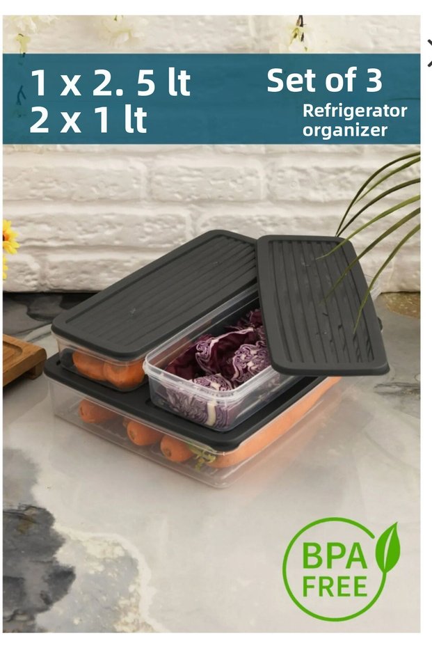 Anthracite 3-Piece Storage Container with Lid, Refrigerator Organizer Suitable for Microwave and Freeze 4.5Lt