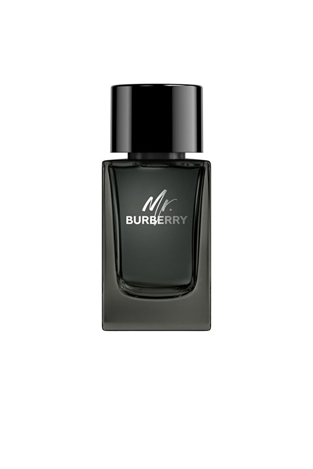 Herr. Eau De Parfum Dampf 100 ml - 1