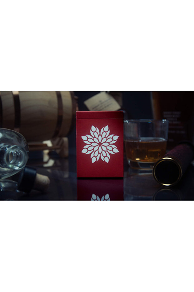 Fraser Parker - Eleusis Marked Deck (Red) Playing Cards