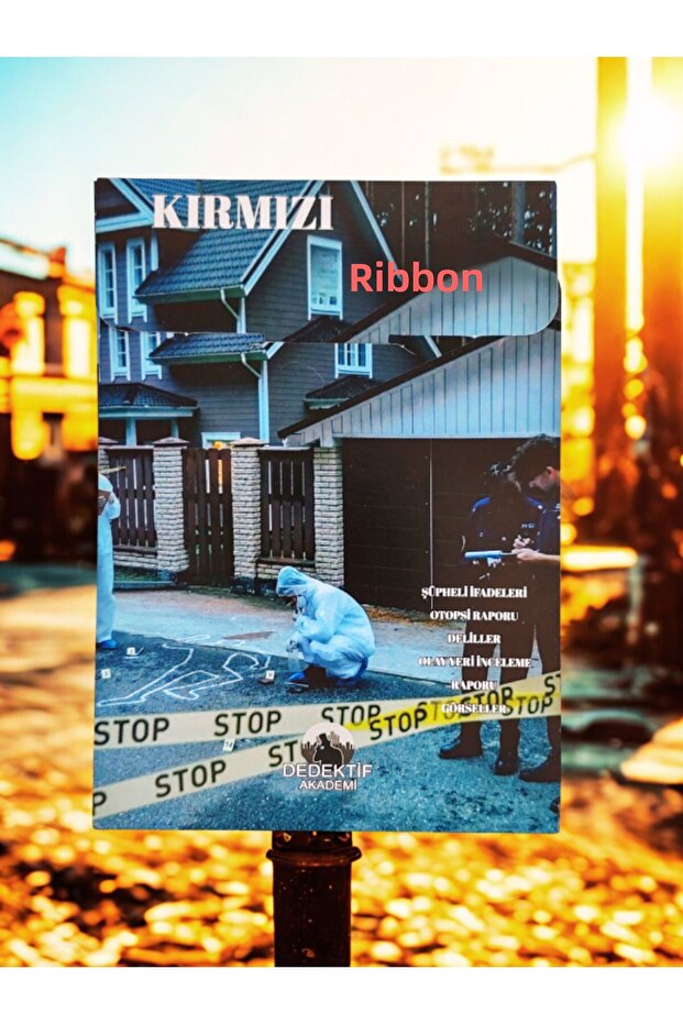 Detective Box Game Red Ribbon Killer Find Solve the Story Fun Mysterious Immersive for Police