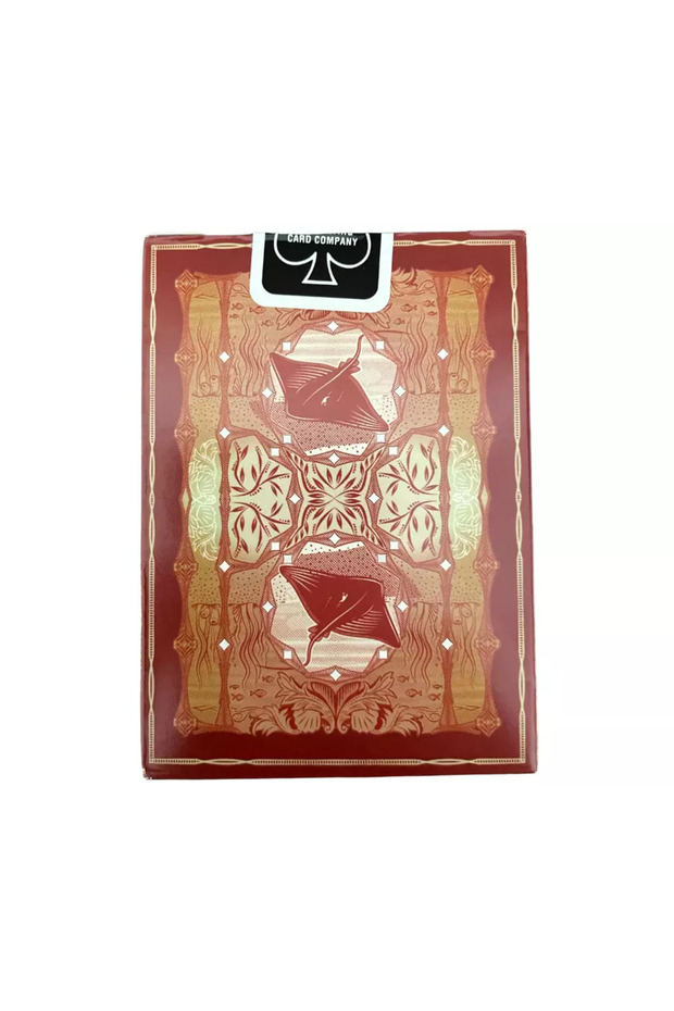 بطاقات اللعب ستينغراي أورانج - 6