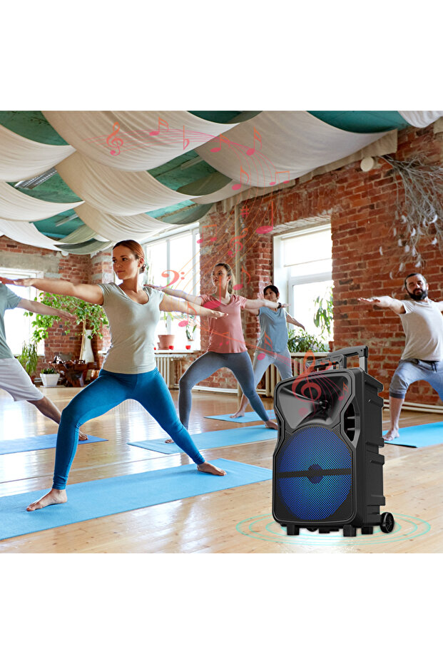 مكبر صوت Sing-E محمول مقاس 12 بوصة مع عجلات، بلوتوث، USB، LED - 2