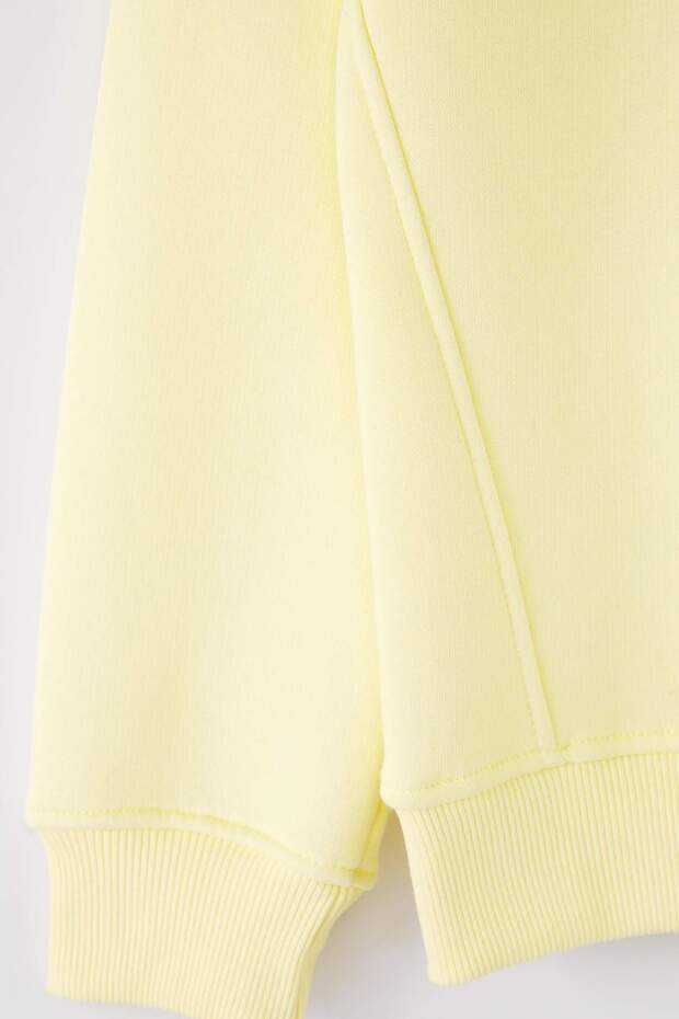 Sarı Regular/Normal Kesim Dik Yaka Fermuarlı Pamuklu Basic İçi Polarlı Sweatshirt TMNAW24SW00041 - 8