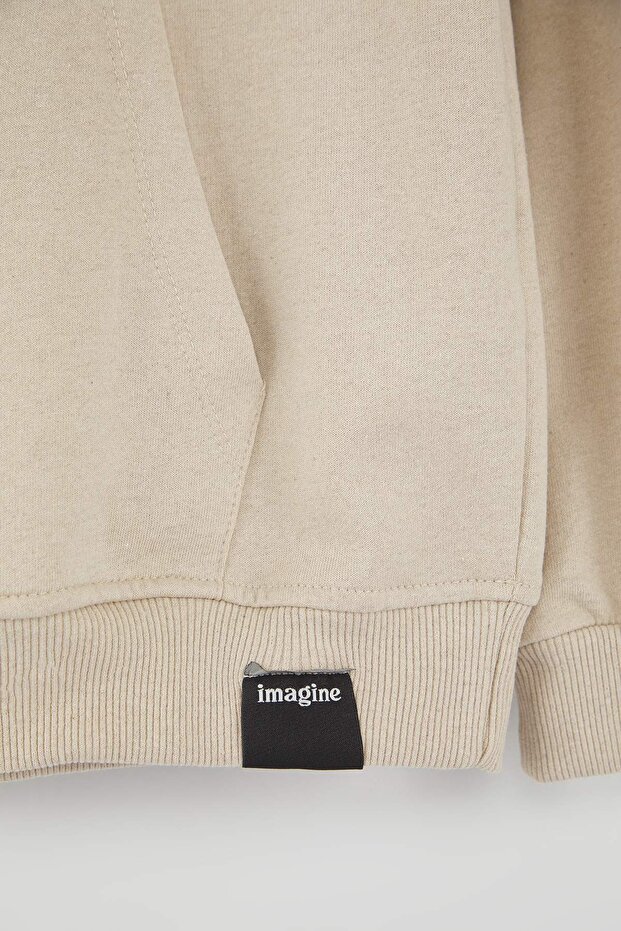 Haki-Taş 2'li Paket Kapüşonlu Regular Kesim İçi Polarlı Sweatshirt TMNAW24SW00000 - 9
