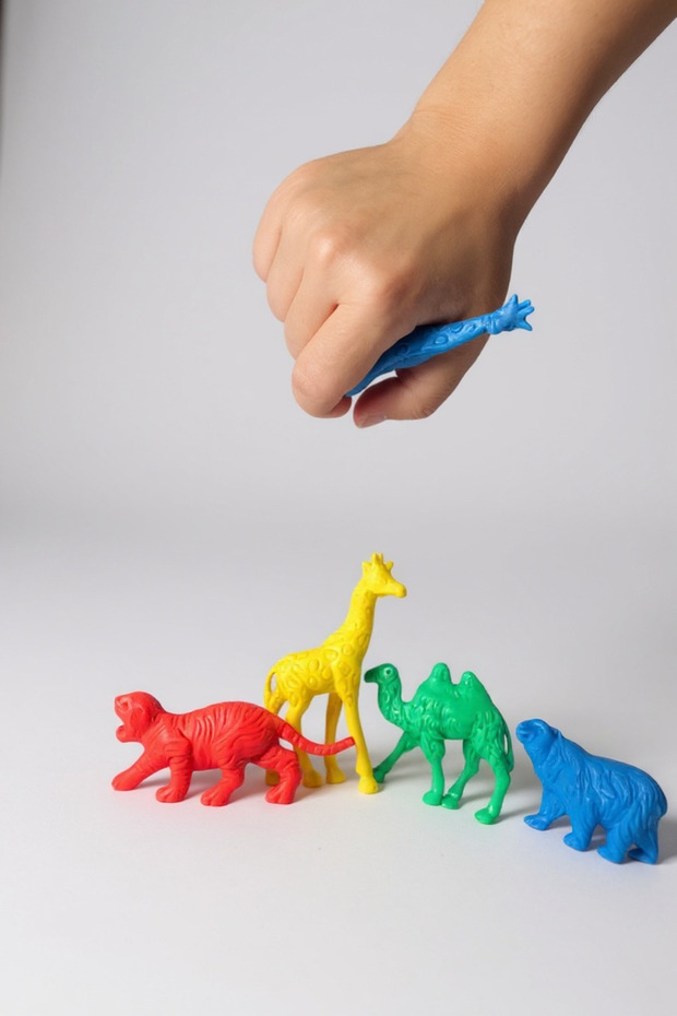 Wild Education Counters for Animals - 4