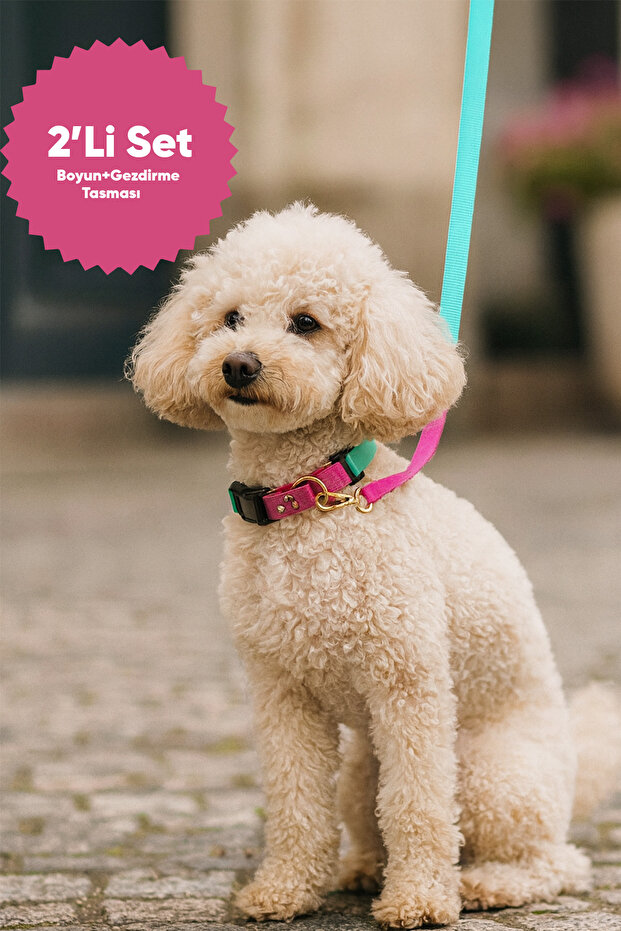 Sugar Mood Ayarlanabilir Köpek Boyun ve Gezdirme Tasması Seti - 3