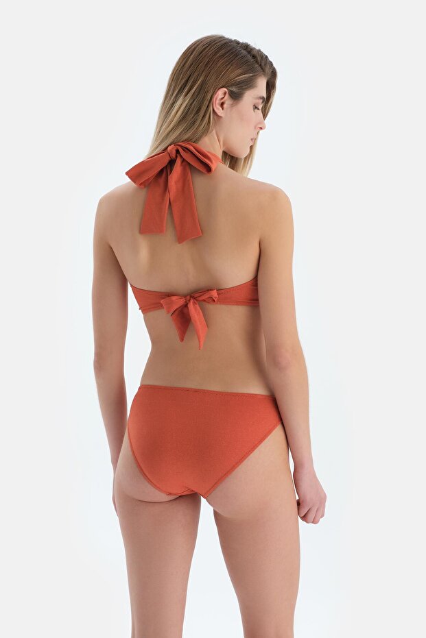 Brown Regular Waist Bikini Bottom - 2