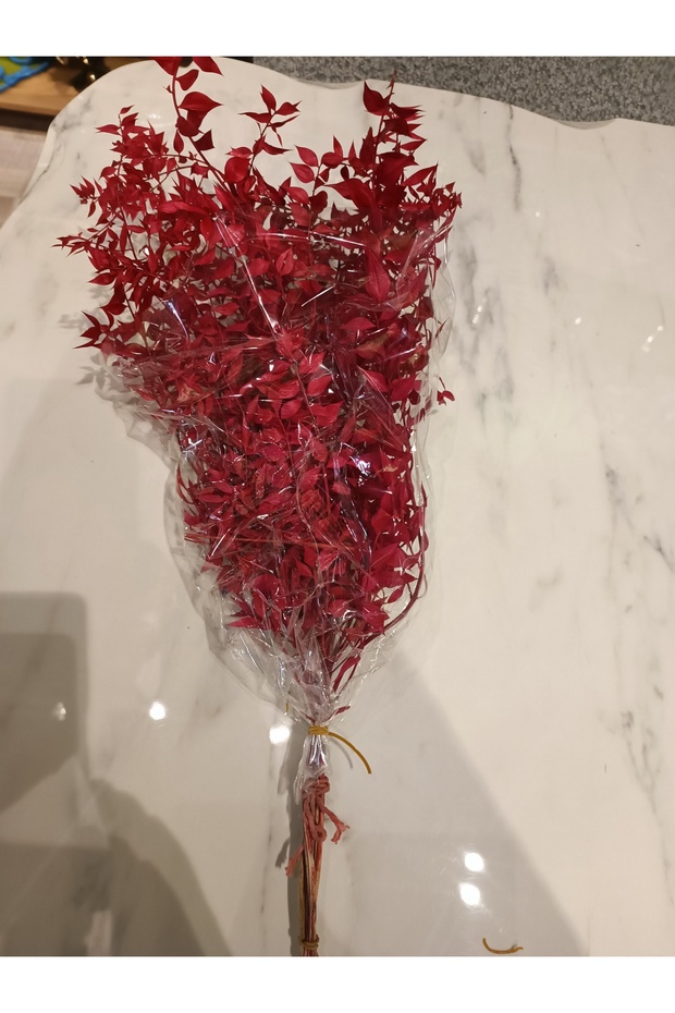 Mercan Mobilya Kuru Çiçek - 2