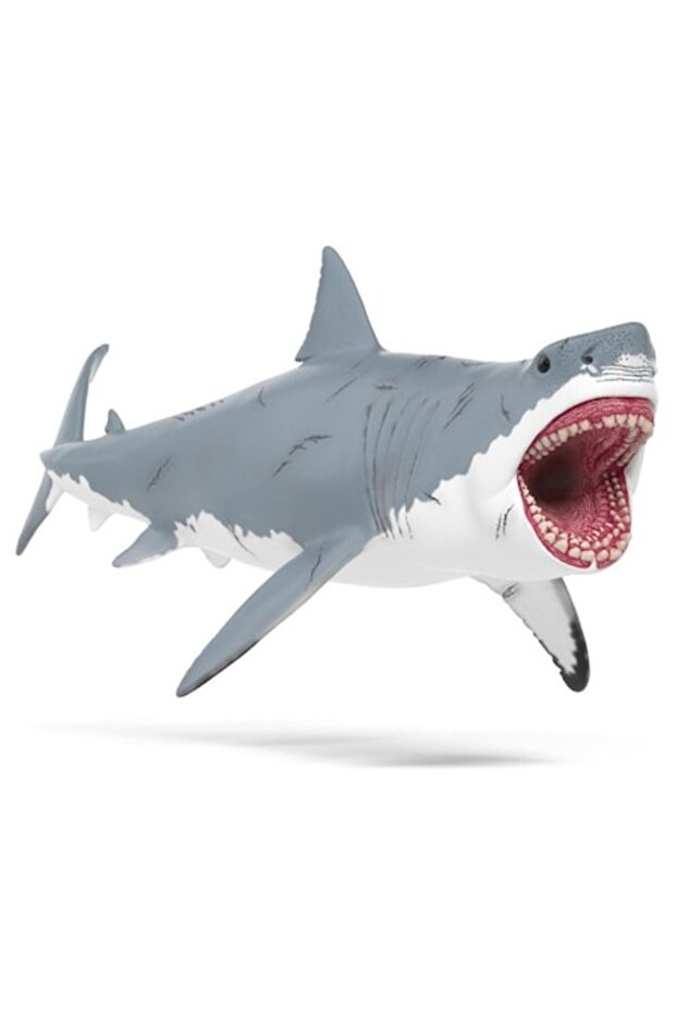 Megalodon (15055) - 1