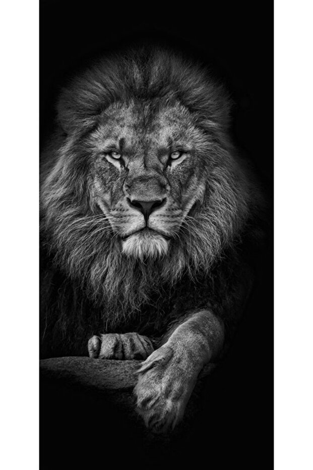 Personalized Case NOKIA 3 Lion