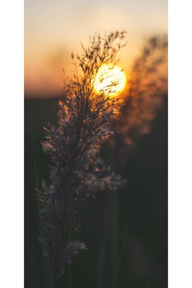 XIAOMI Redmi Note 9 Pro Field Custom Case - 1