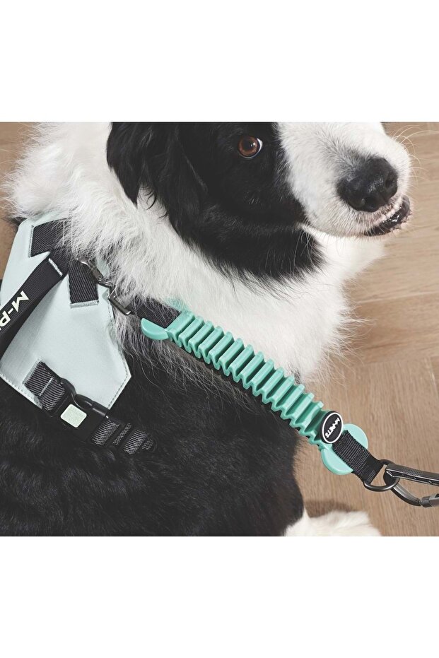 طوق سحب مقاوم للصدمات باللون الأخضر - 5