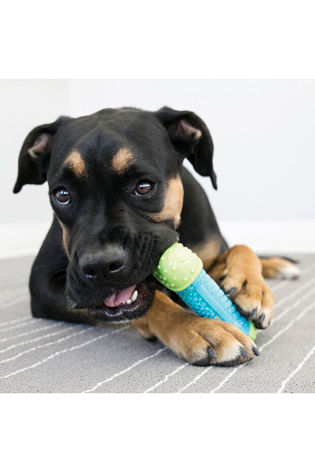 Core Strength Köpek Çiğneme Oyuncağı 13.5 Cm - 2