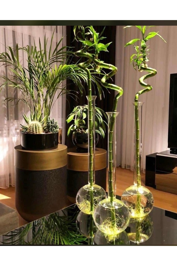 3 Lü Bambu Seti - 2