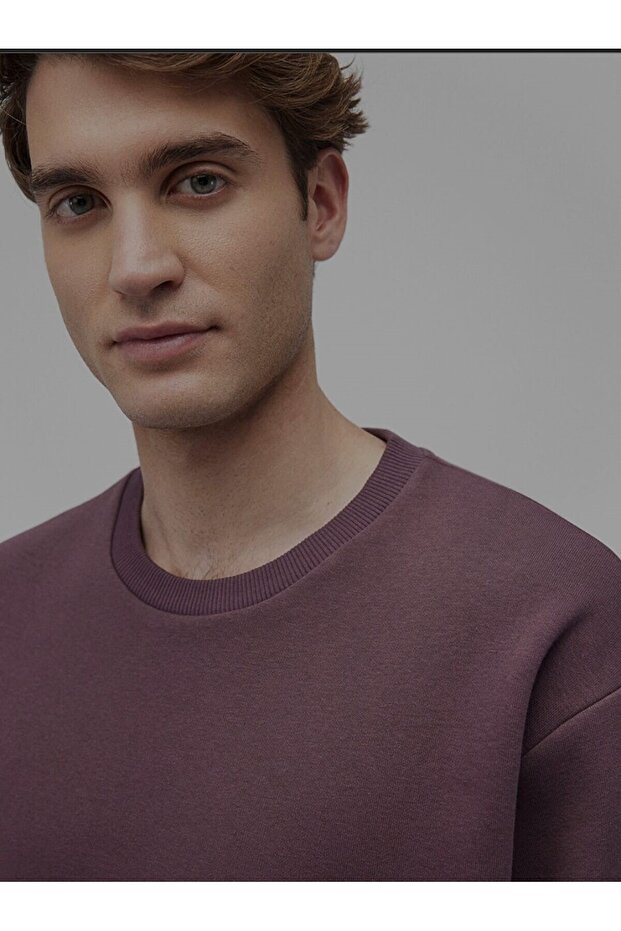 -Mavi Bisiklet Yaka Mor Basic Sweatshirt900 - 2