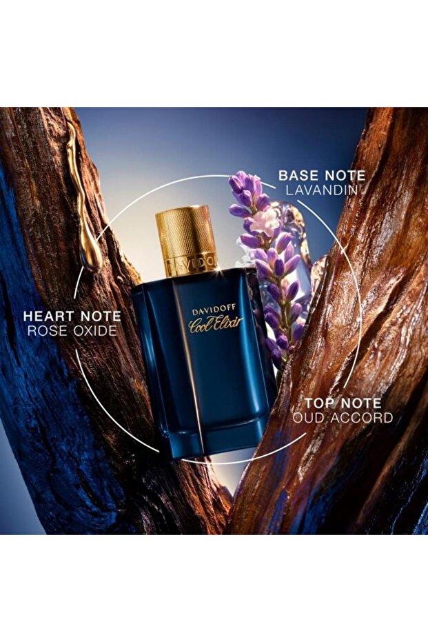 Cool Elixir Oud Aromatique Parfum Intense 100 ml - 1