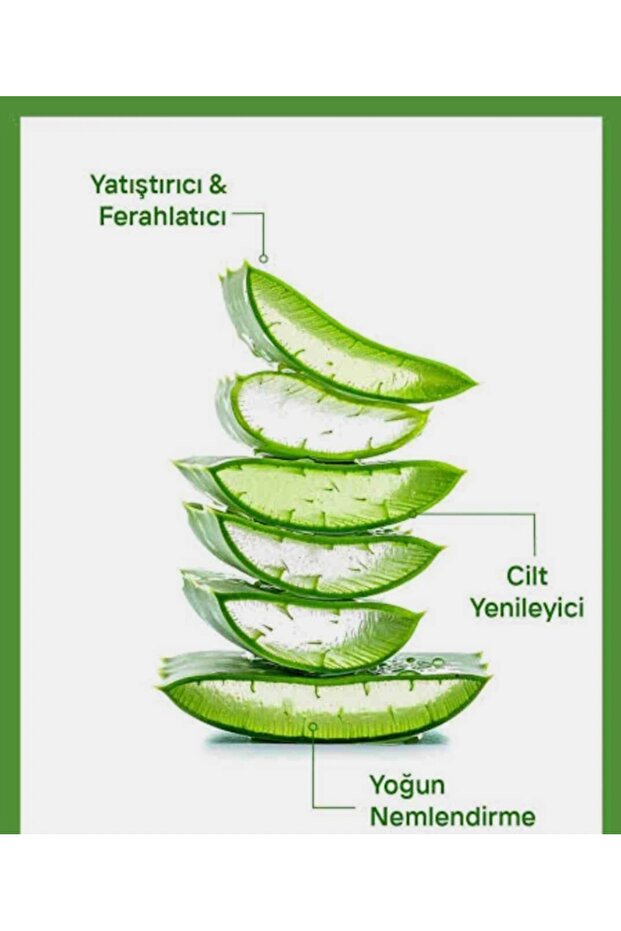 %100 ALOVERA AFTERSUN - 2