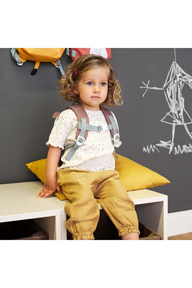 حول حقيبة ظهر فريندز فوكس - 7