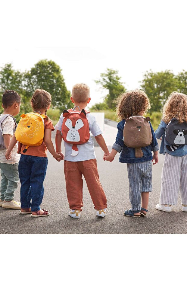 حول حقيبة ظهر فريندز فوكس - 8