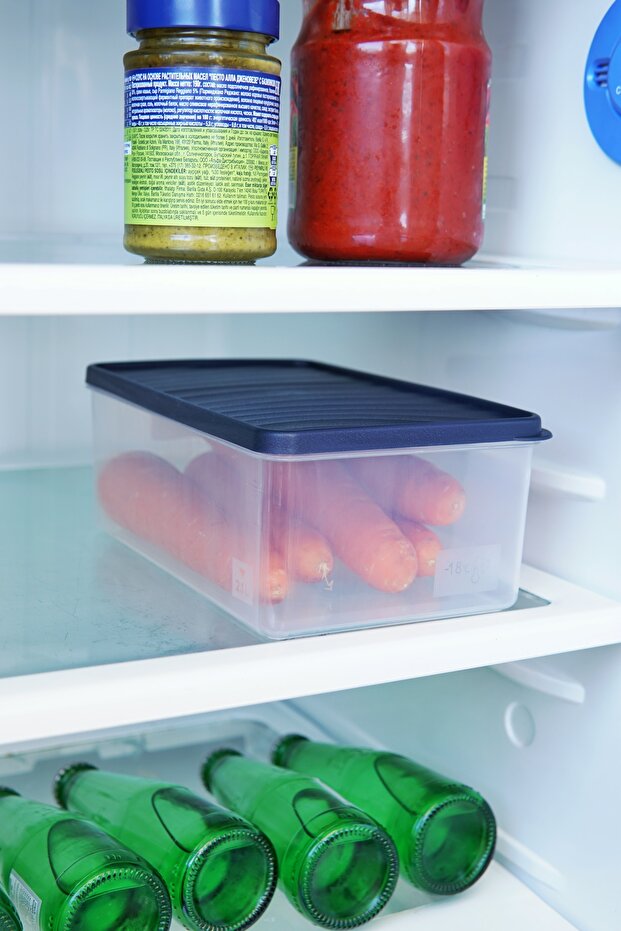 حاوية تخزين للتجميد العميق، سعة 2.1 لتر، لون أزرق - 1