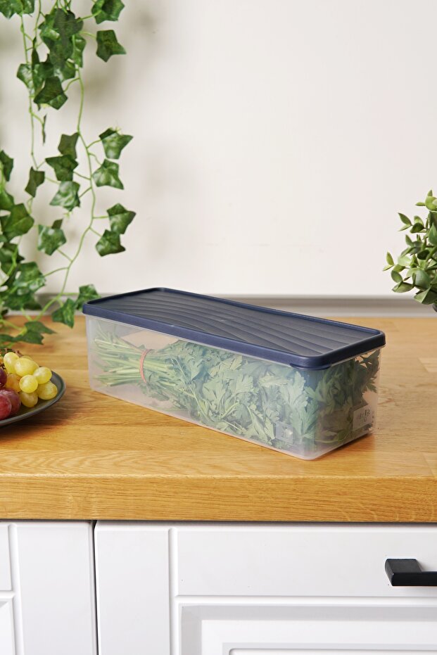 Deep Freezer Storage Container 2 L, Blue - 4