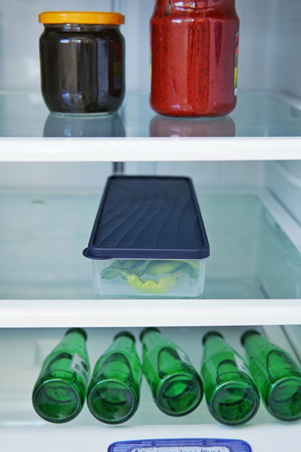 Deep Freezer Storage Container 1 Lt, Blue - 2