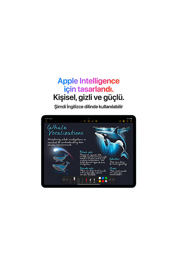 13 inç iPad Air M3 Wi-Fi + Cellular 1 TB Tablet Yıldız Işığı (MCJG4TU/A) - 4