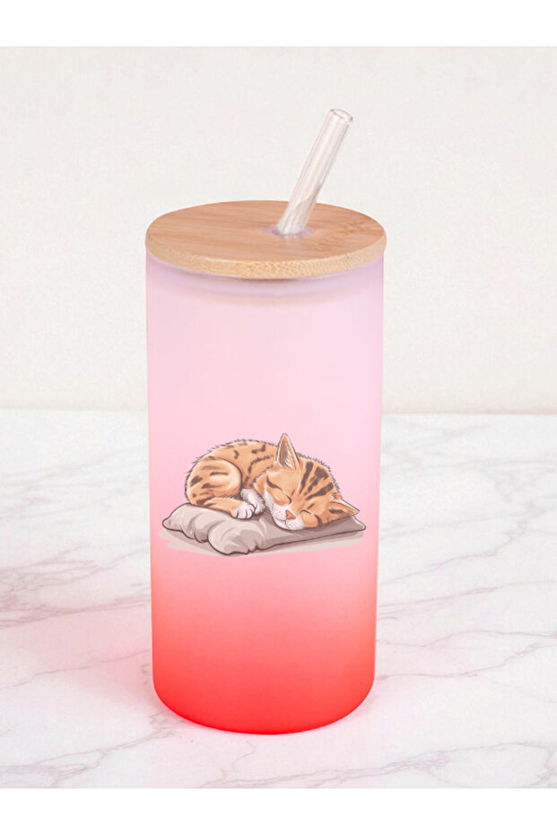 Sleeping Cat Printed 600 ml Glass Flask - Water Flask, Drinking Flask, Glass Flask with Straw - 1