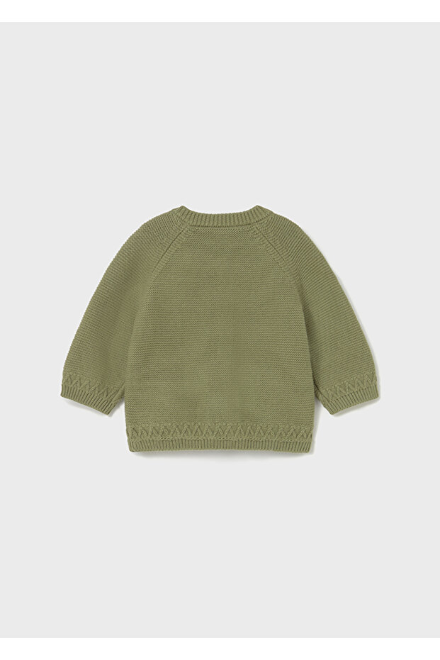 2337 ACEITUNA HIRKA - 2