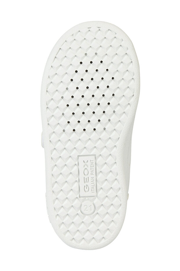 B ECLYPER A - VIT.SINT. - 3