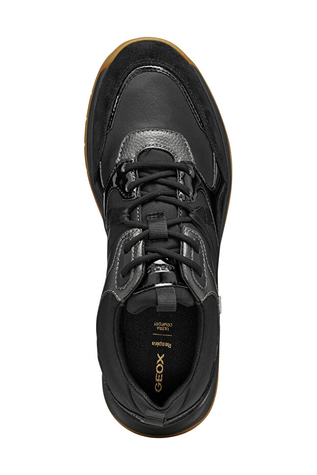 D BERINIKE B ABX - 2