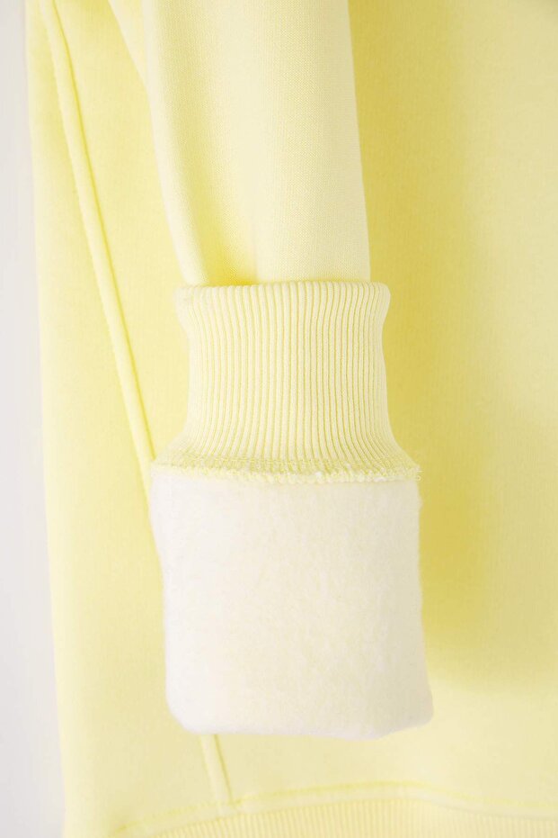 Sarı Regular/Normal Kesim Dik Yaka Fermuarlı Pamuklu Basic İçi Polarlı Sweatshirt TMNAW24SW00041 - 9