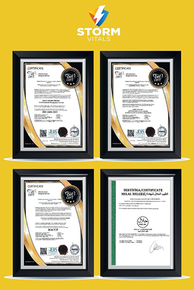 مجمع المغنيسيوم ب - 60 قرصًا للعضلات والعظام القوية - 6