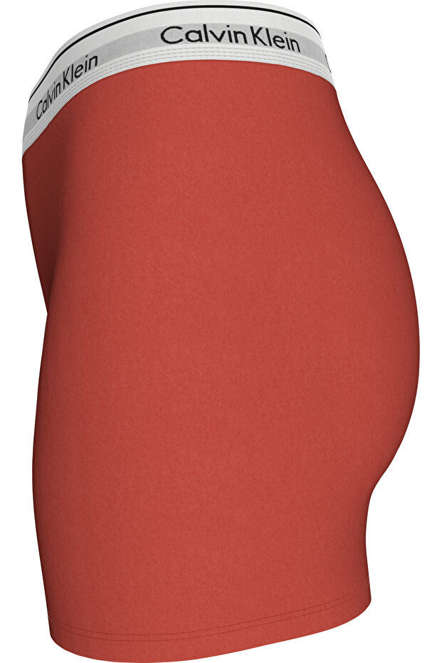 BOXER BRIEF Külot - 3