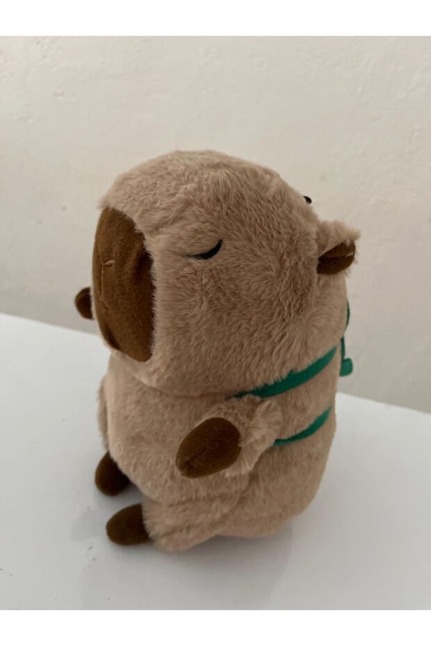 Capybara peluş 30Cm - 2